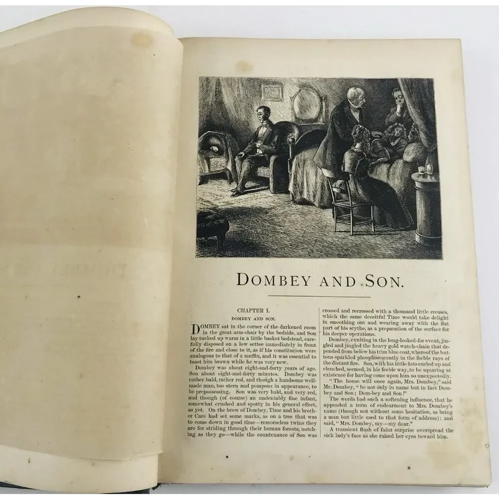 DOMBEY AND SON Charles Dickens Household Edition 1876 Hard B Antique Illustrated
